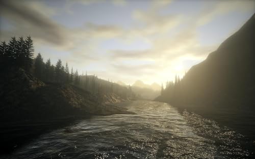 Alan Wake Pc - vue 7