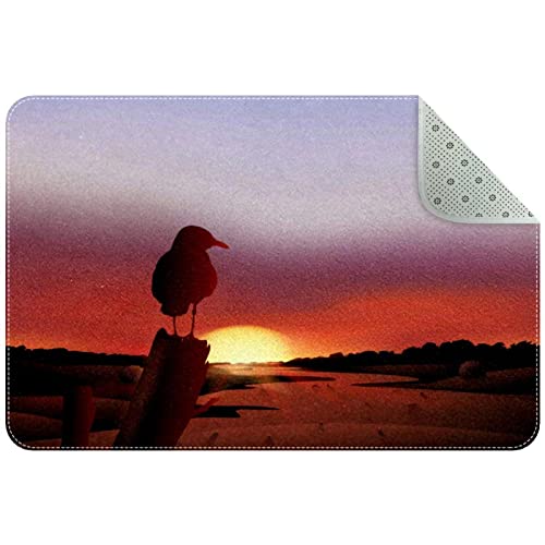 Paillasson d'intérieur super absorbant et lavable machine motif oiseau