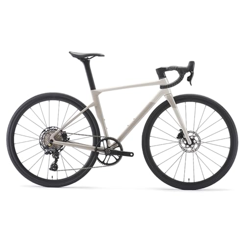 BEDOIN Bicicleta de carretera de fibra de carbono para hombres y mujeres, con ruedas de aleación de aluminio, ligera, 163 cm-172 cm/12 velocidades