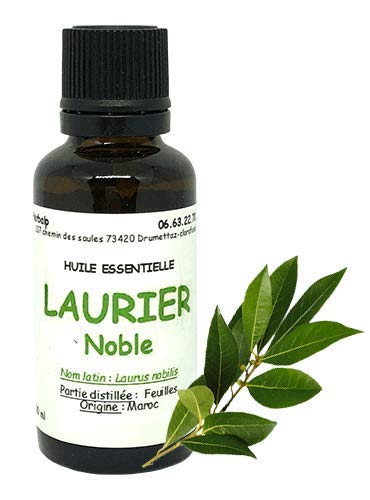 Huile essentielle de Laurier noble (100 ml) ."Laurus nobilis" Cover