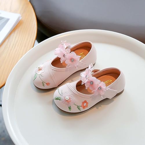 Girl Mary Jane Dance Shoes Ballet Sports Shoes Traditional Chinese Flower Embroidered Shoes Princess Skirt Flat Shoes2