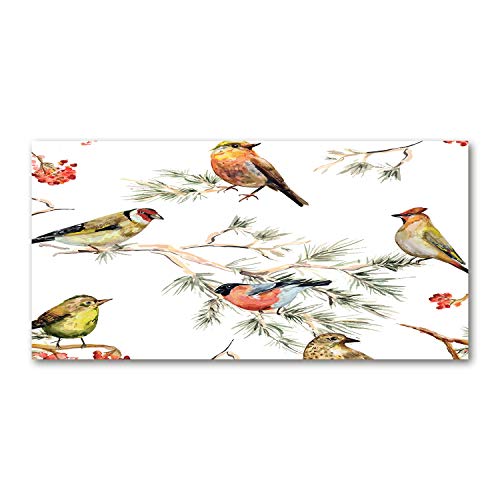 Splashback guard verre trempé 100x50cm fond de hotte cuisine oiseaux multicolores