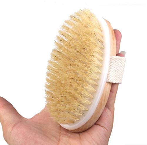Dry Brushing Body Brush - Exfoliating Brush - Natural Bristle Dry Brush for Remove Dead Skin Toxins Cellulite,Treatment,Improves Lymphatic Functions,Exfoliates,Stimulates Blood Circulation,Single