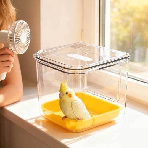 Mangeoire pour cage à oiseaux pour nourrir sereinement votre calopsitte
