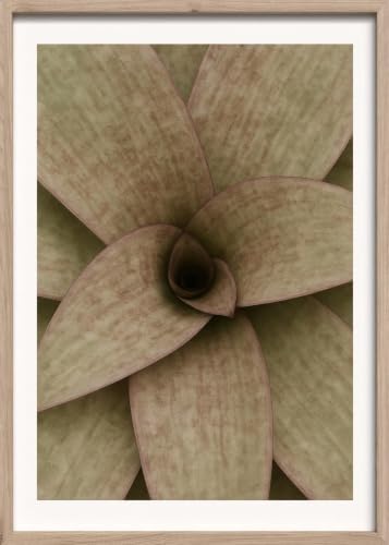 Motif de feuilles naturelles poster mural salon 40 x 60 cm art abstrait