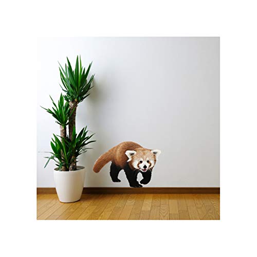 Red Panda Wall Decal Design 224" wide x 16" tall
