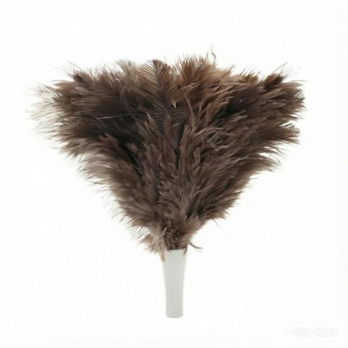 Image of Feather Duster, Ostrich Feather Duster Replacement Head, Reusable Ostrich Feather Duster, Brown (Replacement Head Only)