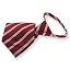 Burgundy Melvin Striped