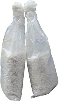 White Button Mushroom Spawn, Ready to Grow