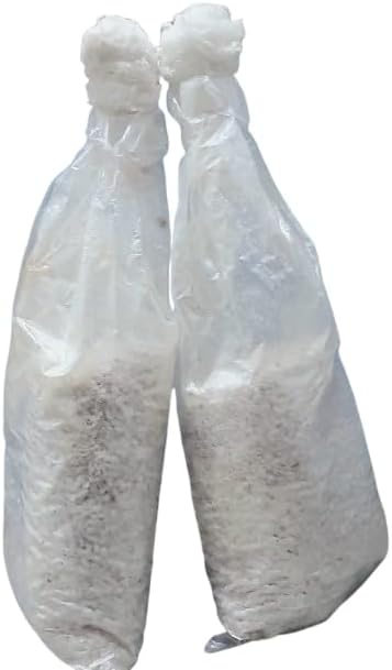 White Button Mushroom Spawn, Ready to Grow