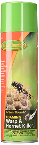 Green Thumb Foaming Wasp and Hornet Spray , 17.5 oz