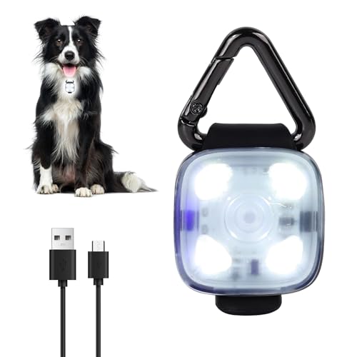Luz LED recargable para collar de perro, con clip, luz de seguridad USB impermeable para perros, gatos y propietarios, ideal para caminar por la noche, correr y acampar (blanco)