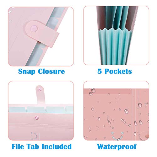 Selizo 5270 6 Pcs Expanding File Folder thumb #3