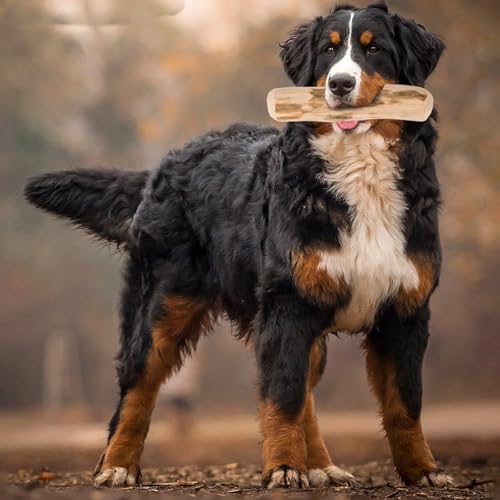 HYZSHL 3 Stück Kaffeeholz für Hunde, Natürliches Kauholz für Kleine und Mittlere Hunde, Ideal für Zahnreinigung und Stressabbau, 14 cm Lange ﻿