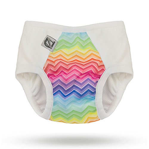 Pull-on Undies 2.0 Stretchy Waterproof Potty Training Pants and Toilet Training Underwear (Small, Rainbow Bright)
