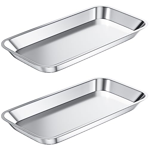 2 PCS Stainless Steel Tray for Lab Intrument Supplies Tools