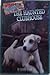 The Haunted Clubhouse (Wishbone Mysteries)