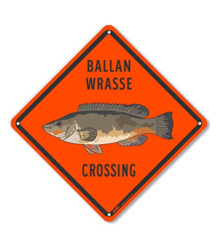 Panneau en aluminium orange résistant Ballan Wrasse Crossing 25 cm