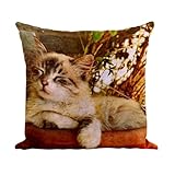 Impression locale : imprimé en France par une PME artisanale, garantissant un produit de qualité et respectueux des savoir-faire locaux