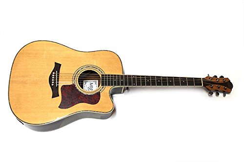 Muses AG63EQ4 - chitarra acustica elettrificata con Fishman - abete palissandro