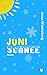 Junischnee: Der beste Floridaroman der letzten Jahre: Romantisch, frech, witzig
