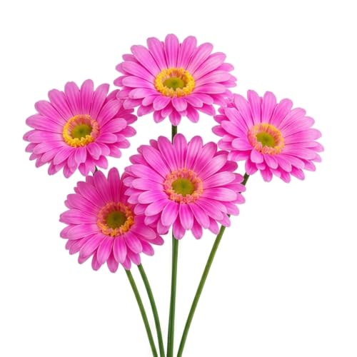 Image of CURATED CART Gerbera Daisy Flowers - Pack of 5 Faux Blooms, 30cm Tall | Real Touch PU Petals with Bendable Green Stems | Artificial Flower Bouquet for Home, Kitchen, Office (No Vase) (Light Piink)