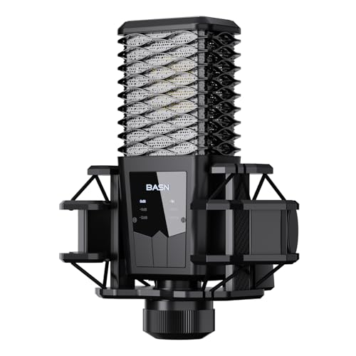 BASN BMS2 Cardioid Condenser Microphone XLR Studio Mic