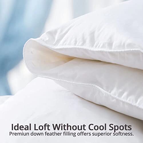 Globon Luxurious Feather Down Comforter King Size,Fluffy Hotel Collection Duvet Insert Medium Warmth For All Season,100% Soft Cotton Shell With Corner Tabs, White(106X90Inches)… #TOP3