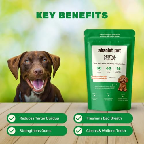 Image of Absolut Pet Dog Supplement for Oral Care, Dental Chews for Dogs that Reduces Plaque & Tartar | Freshens Breath & Supports Gum Health (30 Chews)