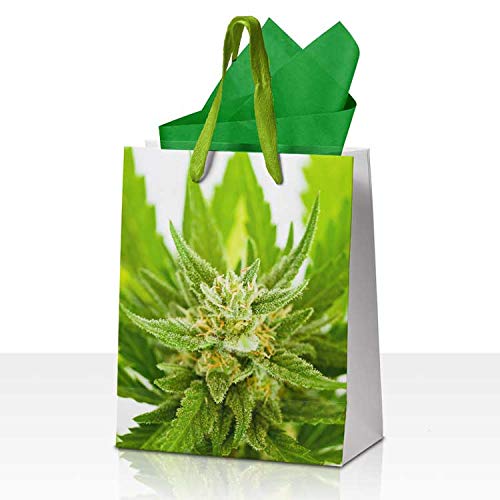 Gift Bag with Tissue, Medium Size, Marijuana Bud Print, with Cotton Handles, for Christmas, Holiday, Birthday, Wedding, Bachelor, and Bachelorette Occasions