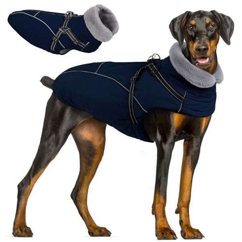 Queenmore Hunde Wintermantel Wasserdicht, Hundemantel mit Geschirr 3-Schicht Ausführung Reflektierend, Hundejacke Winter für Riesenrassen Labrador/Husky/Golden Retriever(Marineblau, 2XL)