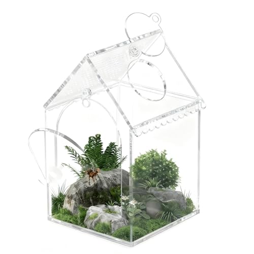 Terrarium tarentule et scorpions en verre ventilé 20x12 cm - 2