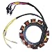 Sierra International 18-5876 Stator