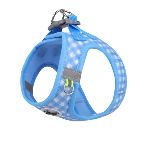 [Luvian]yhEn[lXz ybgn[lX ˕t yʋCbVz Lp Up ȒPE}WbNe[v KtBbg S݌v