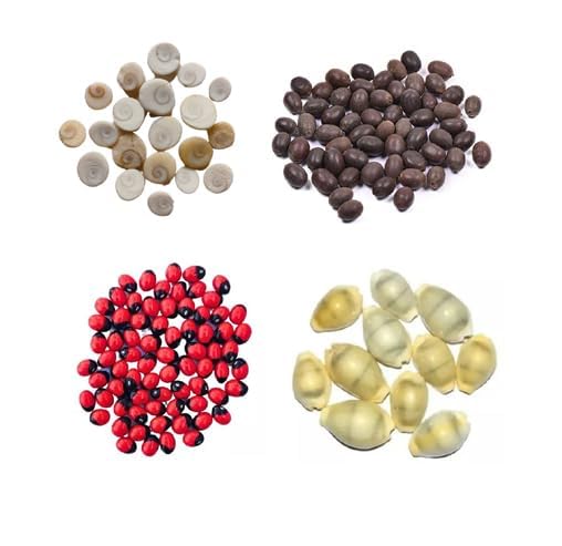 Deepawali Pooja Kodi Set Gomati Chakra Kamal Kata Pooja Item for Diwali Dhanteras Yagya Item