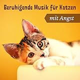 Angststörung Therapie