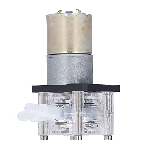 Bognajin Peristaltische Pumpe 0-400ml/min Bognajinzwetxoh63i