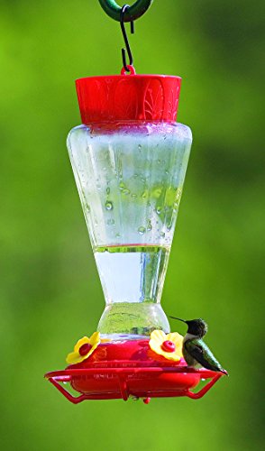 More Birds Hummingbird Feeder, Glass Hummingbird Feeders, Red, 4 Feeding Stations, 28-Ounce Nectar Capacity, Royal #TOP1