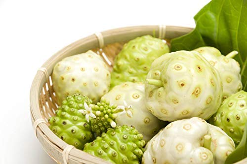 Jioo Organics Noni Powder 100gm