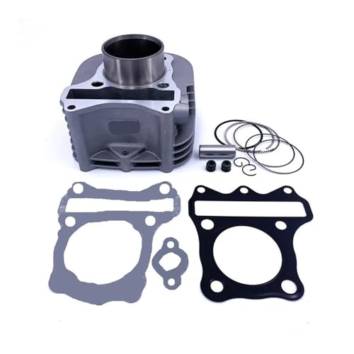 Joint de piston cylindre 53,5 mm pour réparer les fuites moteur de UM125