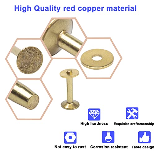 Wuta 83Pcs, Copper Rivets And Burrs, Solid Brass Rust-Proof Studs Leather Copper Rivet For Leather Pure Copper Rivet Setting Tool For Belts Wallets Collars Leather Diy Craft Supplies 4 Sizes (Brass) #TOP3