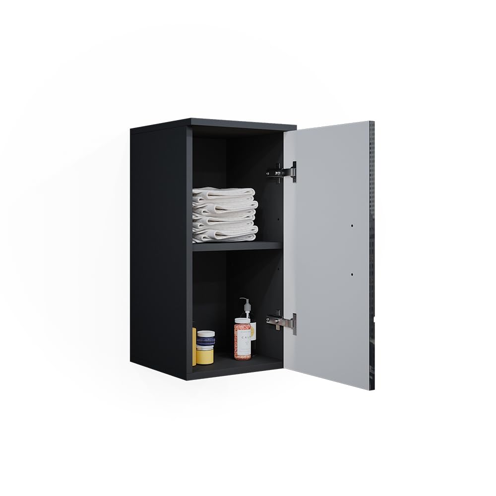 Vicco Armoire Murale Irma, Anthracite Haute Brillance, 30x59cm, adapté à la Fixation Murale et combinable avec d'autres Meubles Irma