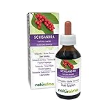 Schisandra (Schisandra chinensis) frutos Tintura Madre sin alcohol Naturalma | Extracto líquido gotas 100 ml | Complemento alimenticio | Vegano