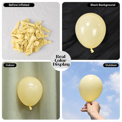 Image of Togvu Pastel Yellow Balloons, 50Pack 5 Inch Small Mini Light Pale Yellow Latex Party Balloons for Birthday Wedding Baby Shower Sunflower Easter Party Decorations Supplies