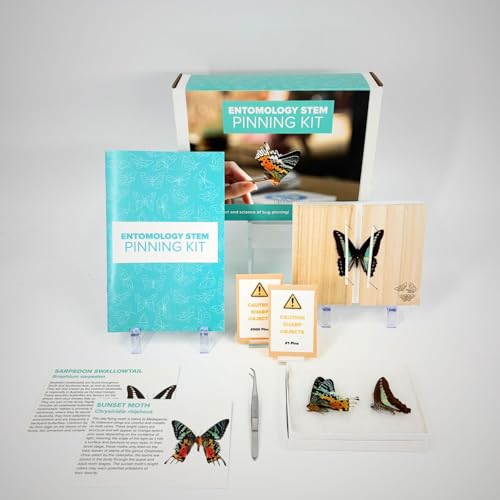 Entomology STEM Pinning Kit - Comprehensive Insect Preservation Kit
