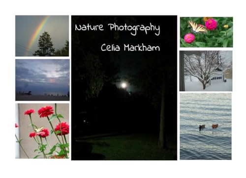 Nature Photography