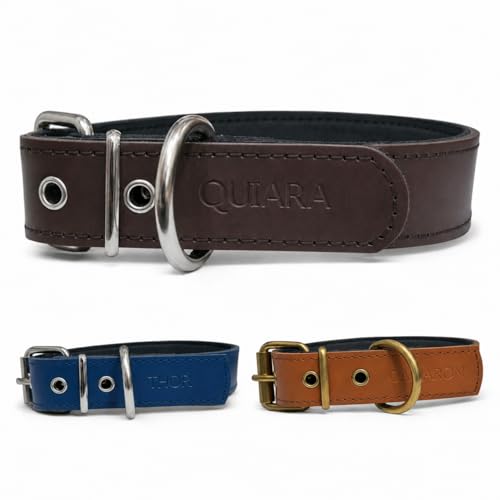 Collar para Perro de Cuero con Acolchado - Personalizable con Nombre Grabado - Hecho a Mano, Resistente y Elegante - Llavero Personalizado de Regalo (Marrón, M/L: Rango de Cuello 37–47 cm)