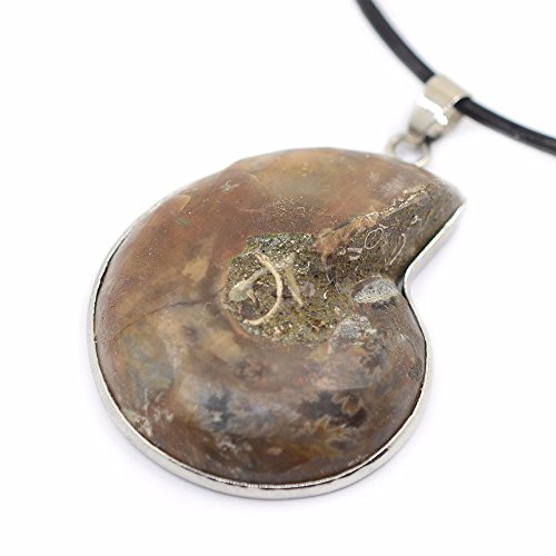 Natural Ammonite Fossil Jewelry Silver Tone Wrapped Pendant Necklace2