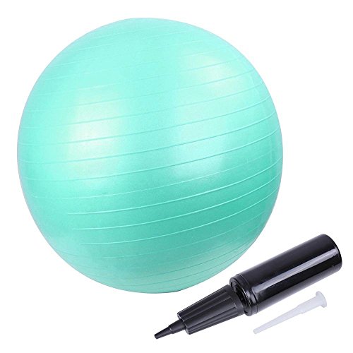 oX{[ 55cm/65cm GNTTCY K{[ A`o[Xgdl |vt ω׏d200kg (O[ (a65cm))