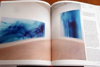 Amazon.co.jp: アート写真集洋書 ヴォルフガングティルマンス